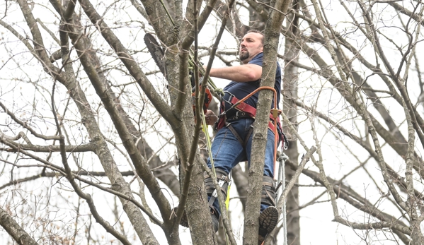 Tim W. Frazier Tree Service - Culpeper, VA