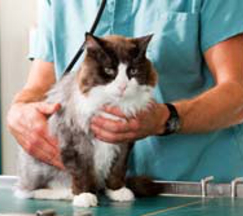 Affordable Veterinary Services - Hornell, NY