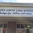 They Grow Like Weeds