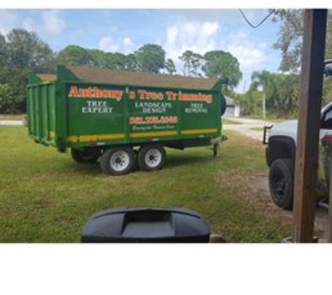 Anthony's Tree Trimming LLC - Fort Pierce, FL