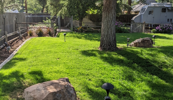 Autumn Tree Lawn and Landscape - Golden, CO