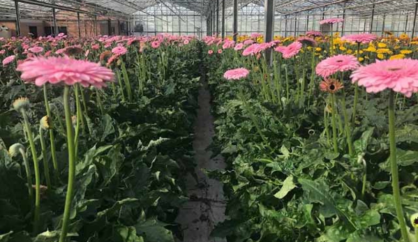 Floraco Pty Ltd - East Perth, WA