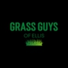 Grass Guys of Ellis gallery