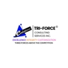 Tri-Force IT Consulting Services, Inc. gallery