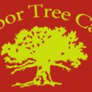 Arbor Tree Care - Stump Removal & Grinding