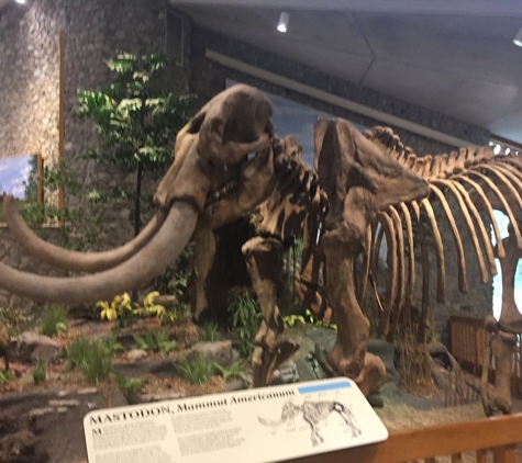 Mastodon State Historic Site - Imperial, MO