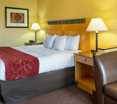 Comfort Suites Southpark - Colonial Heights, VA