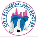 City Plumbing and Rooter - Plumbers