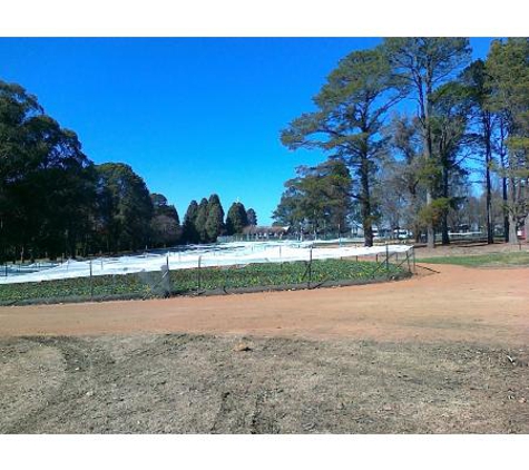McMahon's Lawn Turf & Maintenance - Googong, NSW