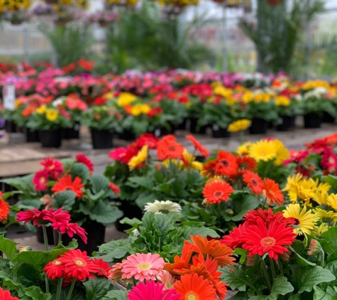 Chuck Hafner's Farmers Market & Garden Center - Syracuse, NY