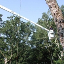 Turner Tree Service - Tree Service