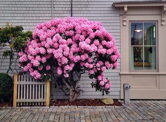 Town Wharf General Store - Mattapoisett, MA