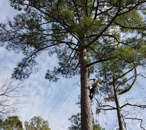 Beast Trees LLC - Murrells Inlet, SC