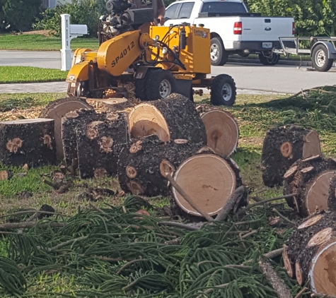 Anthony's Tree Trimming LLC - Fort Pierce, FL. Stump Grinding