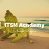 Itsm Academy Inc gallery
