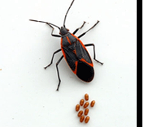 Interstate Pest Management - Portland, OR