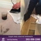 Feet Up Carpet Cleaning DC