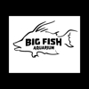 Big Fish Aquarium gallery