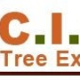 C I W Tree Experts