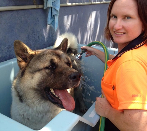 Homebush Boarding Kennels & Cattery - Homebush, QLD