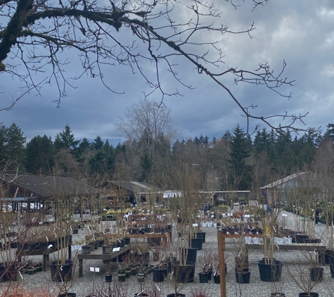 Wells Medina Nursery - Medina, WA