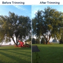 Sunny Slope Tree Service - Arborists