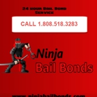 Ninja Bail Bonds