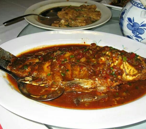 Fushia川园 - Tampa, FL. Sichuan style Spicy whole fish.It's fish lovers' best choice!a