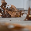 VesCo Residential Cleaning gallery