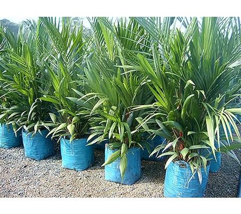 Mad About Plants - Wrights Creek, QLD