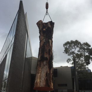 Kendall's Tree Service - Lake Albert, NSW. large tree removal wagga