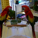 Omar's Exotic Birds - Birds & Bird Supplies