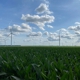 Twin Groves Wind Farm