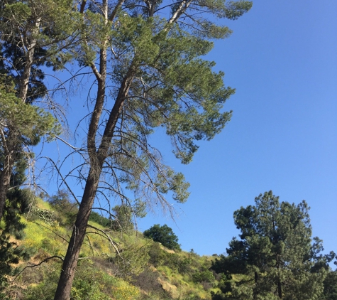 Bronson Canyon-Griffith Park - Los Angeles, CA