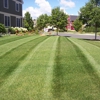 T & M Landscaping gallery