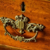 Gallery Image Number 6