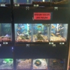 Sandy's Pet Shop gallery