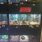 Sandy's Pet Shop