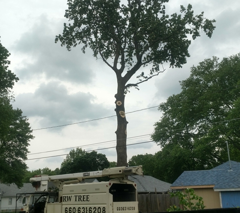 R W Tree Service - Marshall, MO