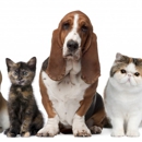 Your Family's Friend Pet Sitting Services - Pet Sitting & Exercising Services