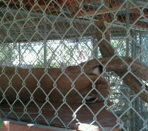 Wildlife Learning Center - Sylmar, CA