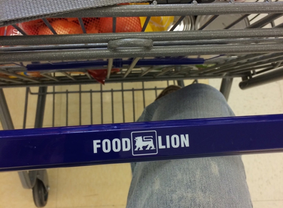 Food Lion - Kernersville, NC