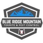 Blue Ridge Mountain Termite