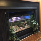 Evergreen Acupuncture & Oriental Medicine