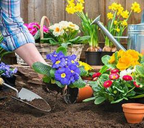 A Clean Cut Lawn & Landscape