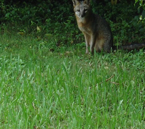 Miami Animal Removal - Miami, FL