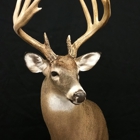God's Country Taxidermy