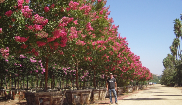 Moon Valley Nurseries - Phoenix, AZ