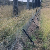 Gallery Image Number 3
