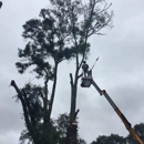 McKeithen's Tree Service - Nurseries-Plants & Trees